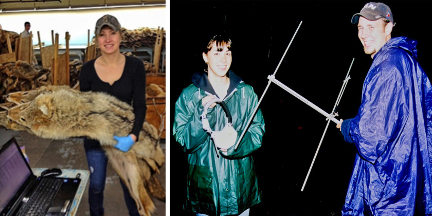wildlife ecology researchers