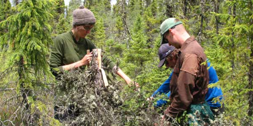 researchers collecting samples