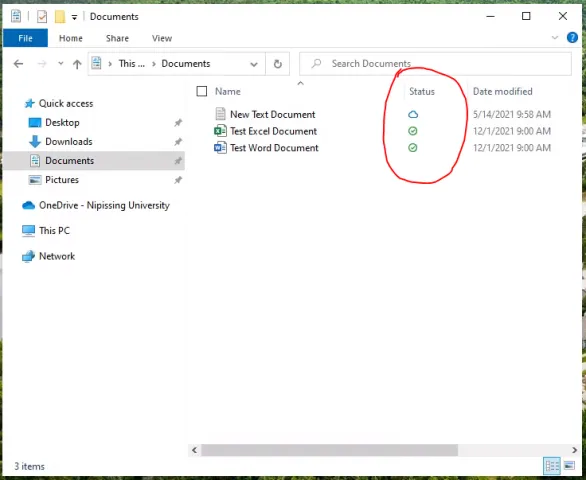 OneDrive status icons in File Explorer.