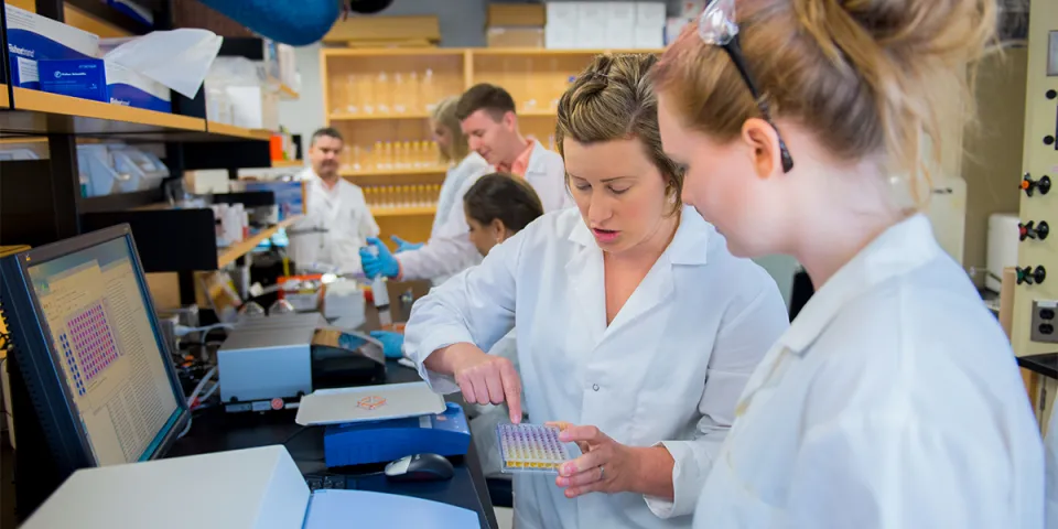 lab analysis