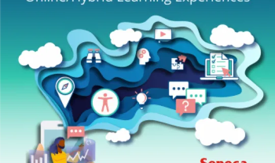 Designing and Developing High-Quality Student-Centred Online/Hybrid Learning Experiences