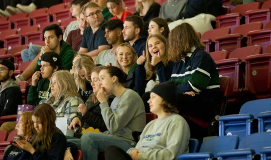 Men's Hockey crowd