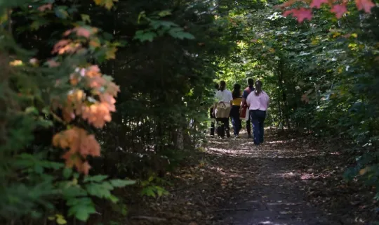 Medicine walk during NU Homecoming 2025
