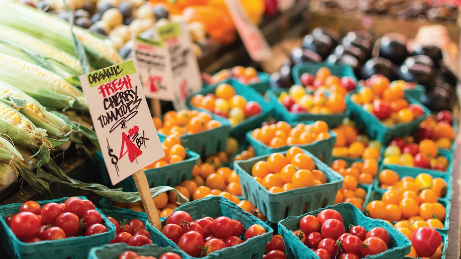 A close up of a tomato stand