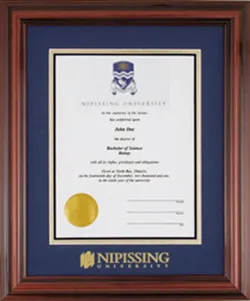 Diplomat Satin degree frame