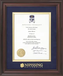 Diplomat Satin Plus degree frame
