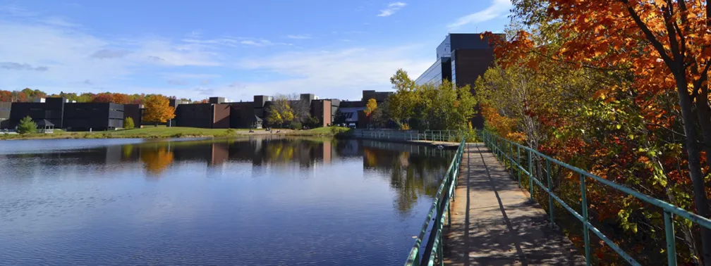 Fall colours on campus