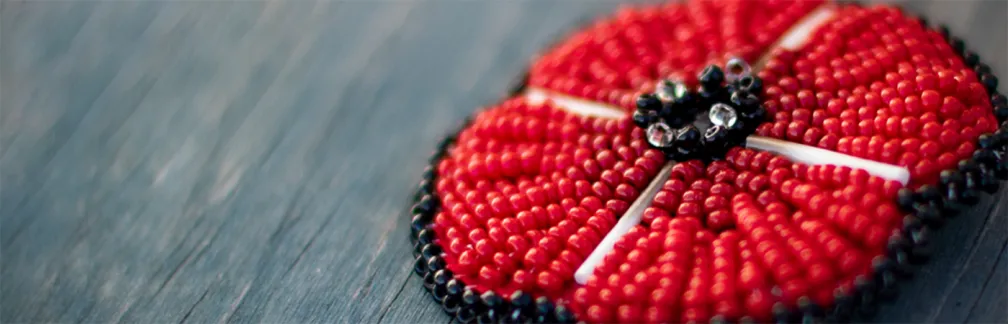 Remembrance Day poppy